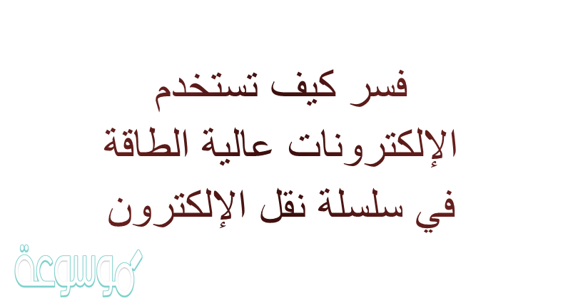 فسر كيف تستخدم الإلكترونات عالية الطاقة في سلسلة نقل الإلكترون