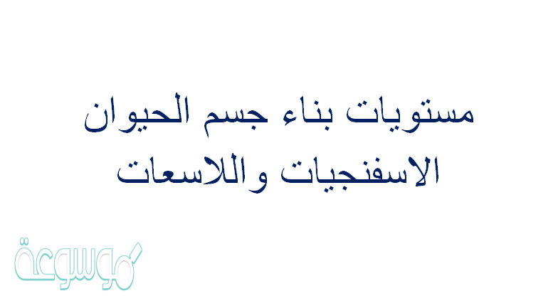 مستويات بناء جسم الحيوان الاسفنجيات واللاسعات