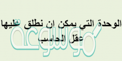 الوحدة التي يمكن ان نطلق عليها عقل الحاسب
