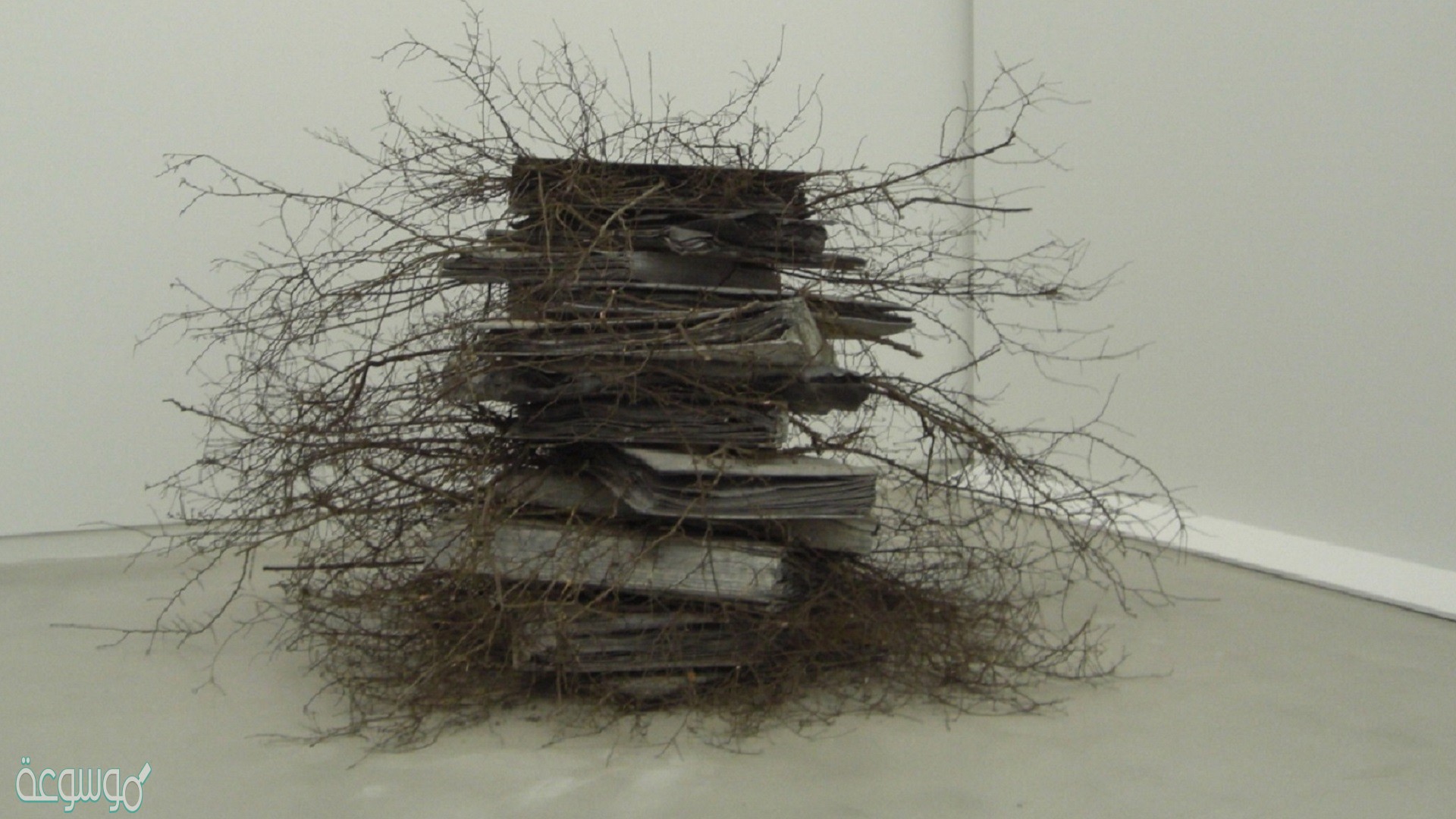 من يظهر الإيمان ويبطن الكفر يسمى