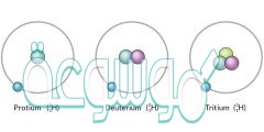 ذرات العنصر نفسه لها عدد البروتونات نفسه وتختلف في عدد النيوترونات
