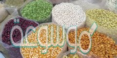 كم نصاب الحبوب والثمار