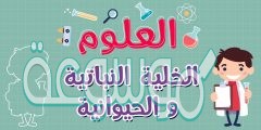 تختلف الخلايا النباتية عن الخلايا الحيوانية في ثلاث خيارات