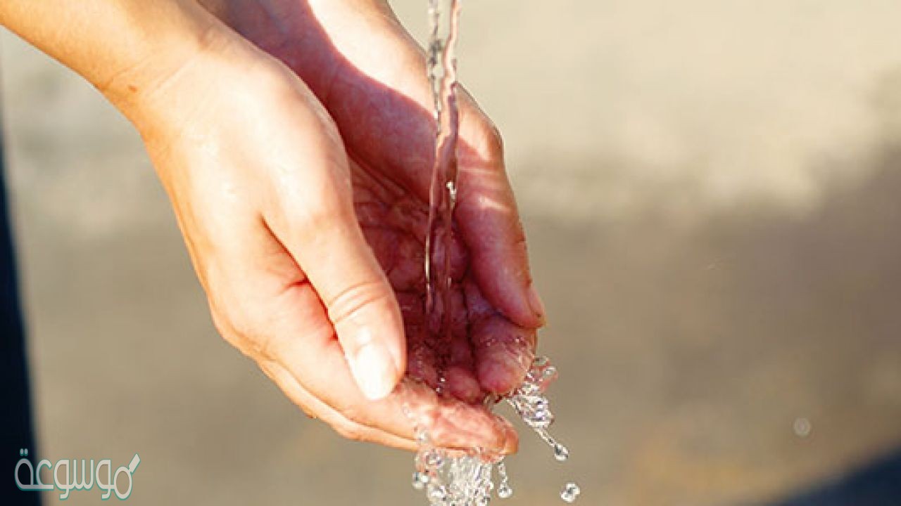أذكر دليلا على فضل الطهارة غير ما ورد في الكتاب