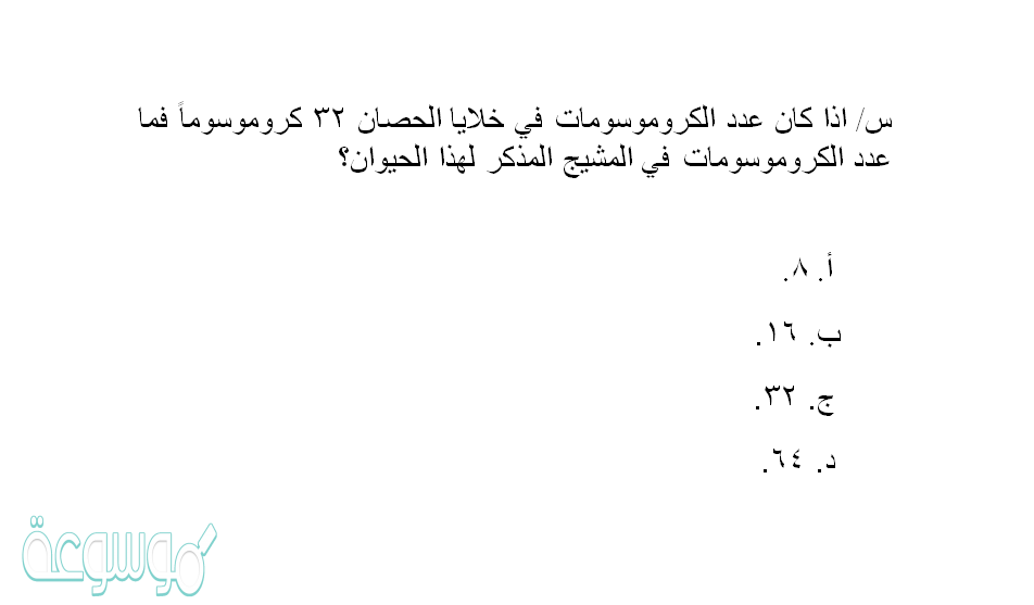 اذا كان عدد الكروموسومات في خلايا الحصان
