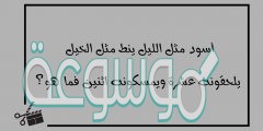 اسود من الليل واسرع من الخيل