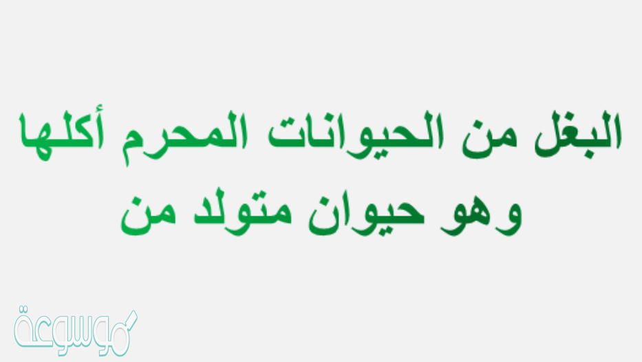 البغل من الحيوانات المحرم أكلها وهو حيوان متولد من