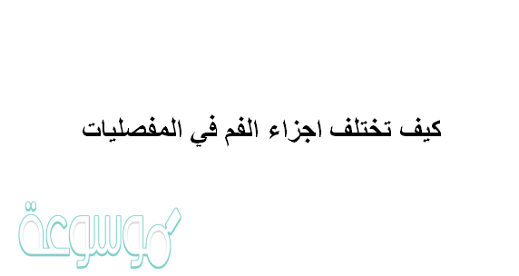 كيف تختلف اجزاء الفم في المفصليات