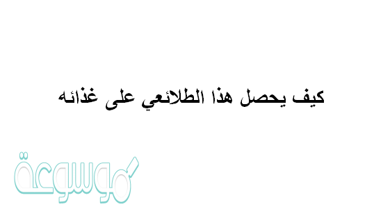 كيف يحصل هذا الطلائعي على غذائه