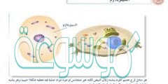 أي مما يلي يوجد في خلايا جسمك