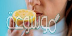الشم لا يساهم في حاسة التذوق