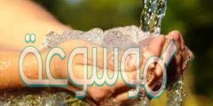 من امثلة الماء الطهور