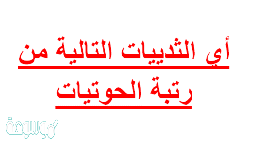 اي الثدييات التالية من رتبة الحوتيات