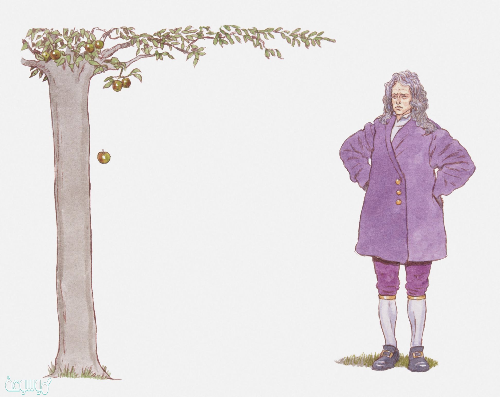 تخمين لجواب او تفسير منطقي محتمل يعتمد على معرفتك وملاحظتك هو