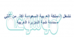 تشغل المملكة العربية السعودية أكثر من ثلثي مساحة شبة الجزيرة العربية
