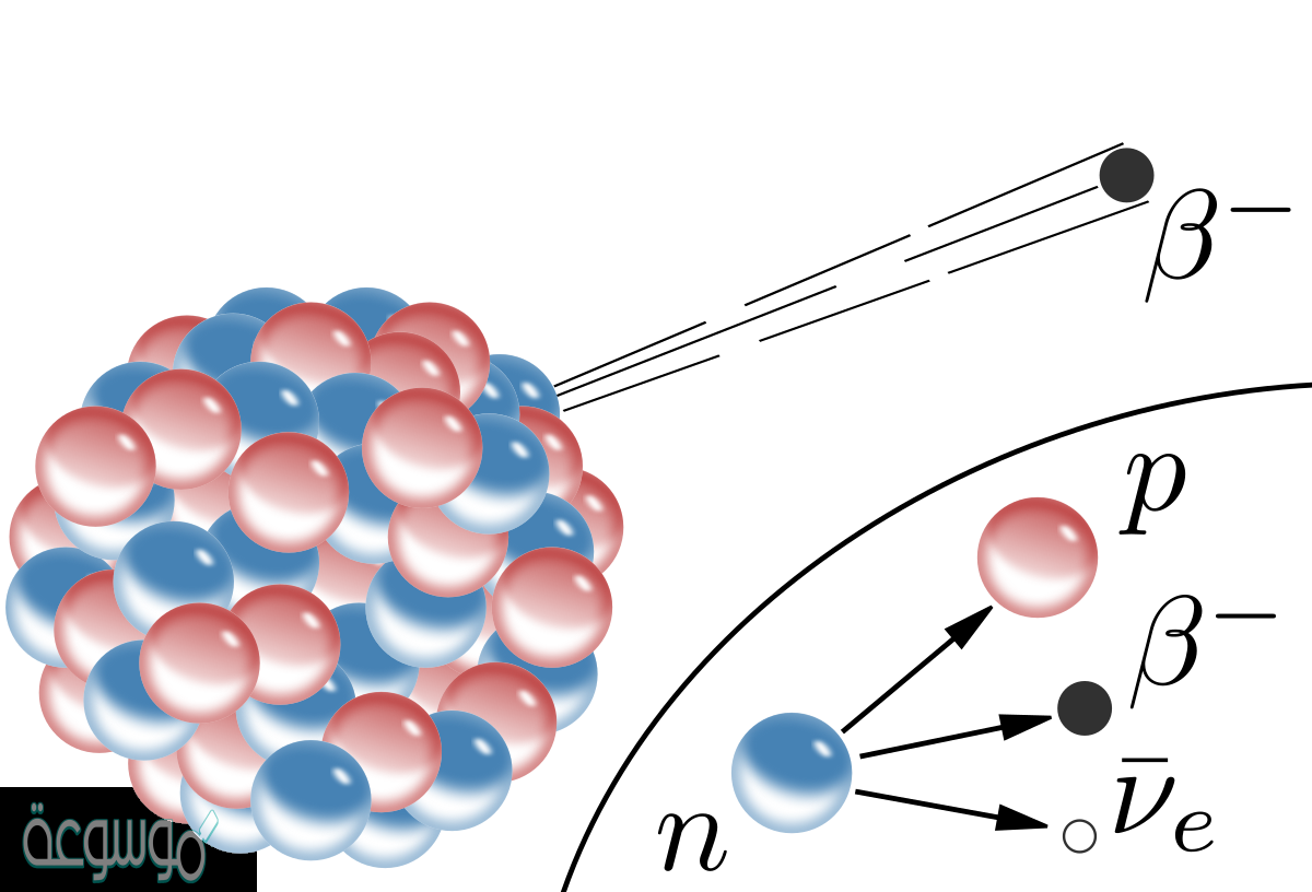 خلال عملية تحلل بيتا يتحول النيوترون إلى بروتون و