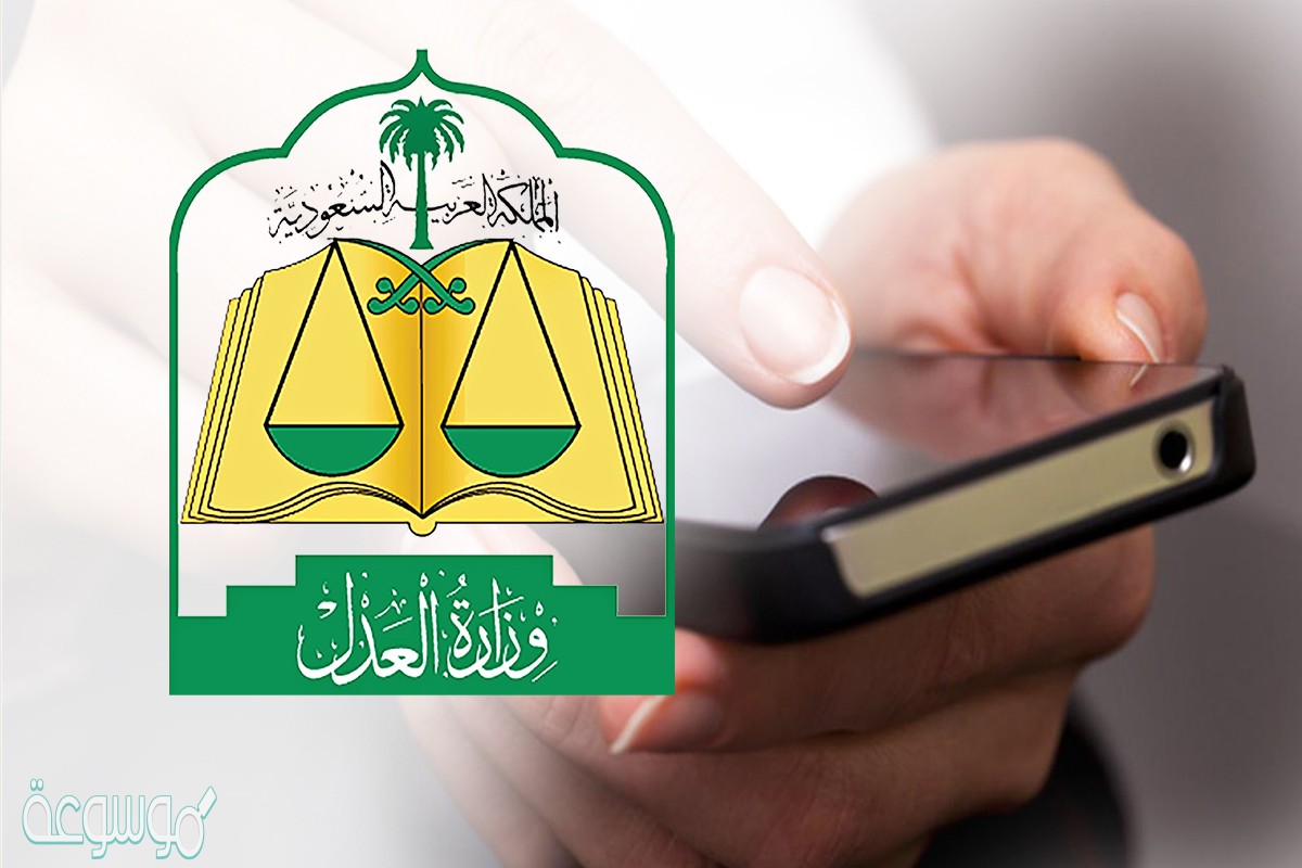 رابط ناجز الاستعلام عن قضية