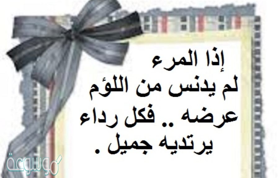 شرح قصيدة اذا المرء لم يدنس