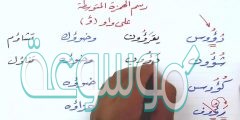 كلمات بها همزة متوسطة على واو