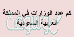 كم عدد الوزارات في المملكة العربية السعودية