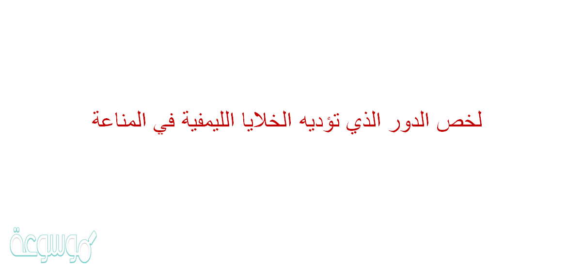 لخص الدور الذي تؤديه الخلايا الليمفية في المناعة