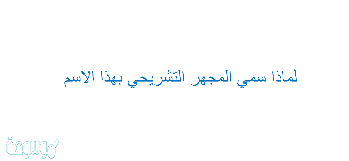 لماذا سمي المجهر التشريحي بهذا الاسم