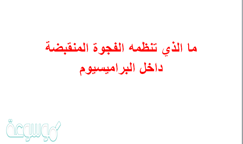 ما الذي تنظمه الفجوة المنقبضة داخل البراميسيوم