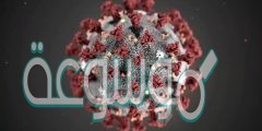 ما سبب تسمية فيروس كورونا بكوفيد 19