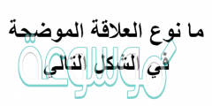 ما نوع العلاقة الموضحة في الشكل التالي