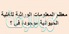 معظم المعلومات الوراثية للخلية الحيوانية موجودة في ؟