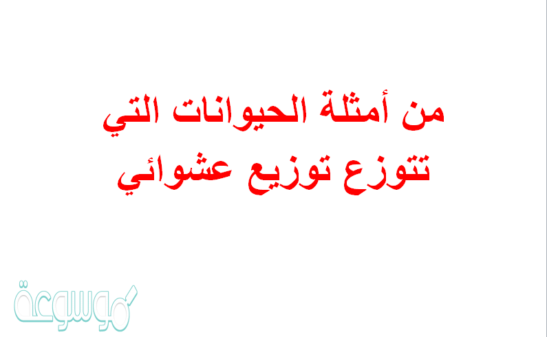من أمثلة الحيوانات التي تتوزع توزيع عشوائي