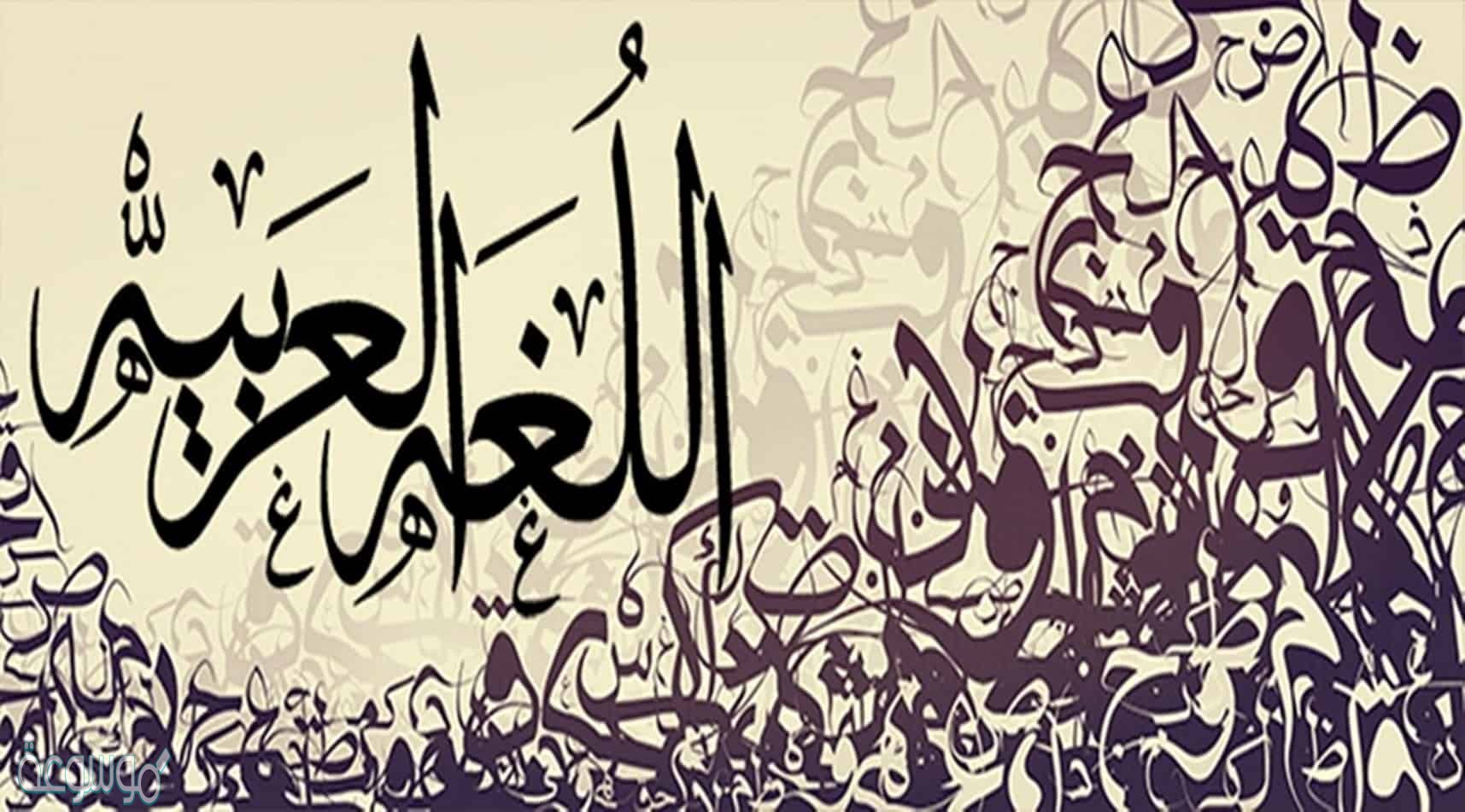 من انواع المعارف؟