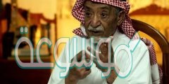 من هو الاديب ابراهيم خفاجي