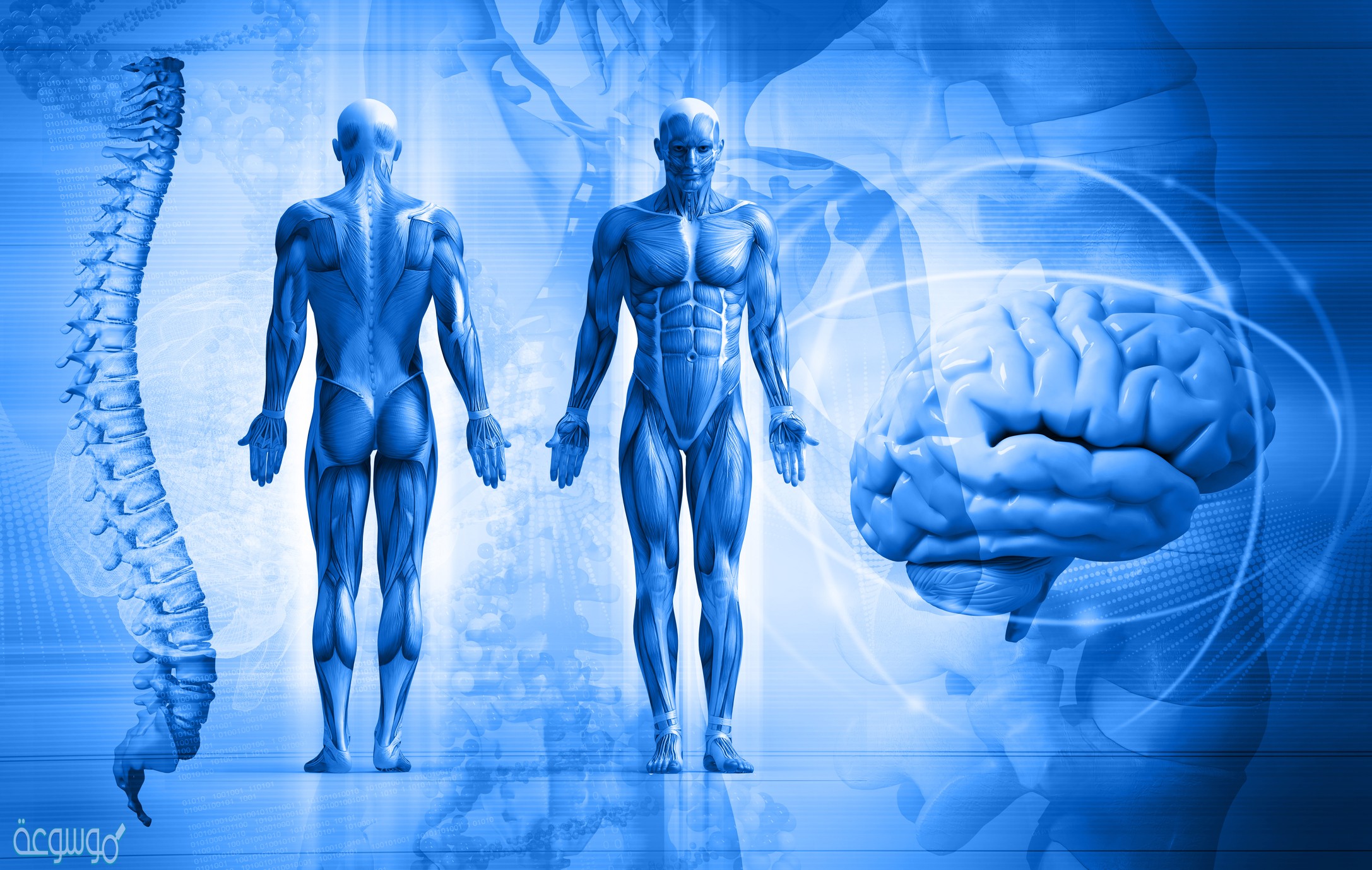 هل انا مخلوق حي لماذا