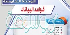 هي واجهة تعامل المستخدم مع قاعدة البيانات