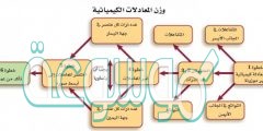 المعادلات الكيميائية الرمزية تساعد على وصف التفاعلات إلا انها تفتقر إلى معلومات مهمة