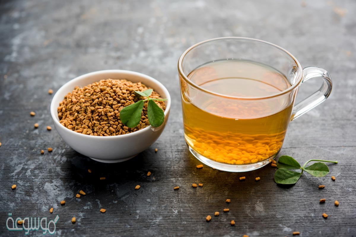 فوائد الحلبه للدوره الشهرية