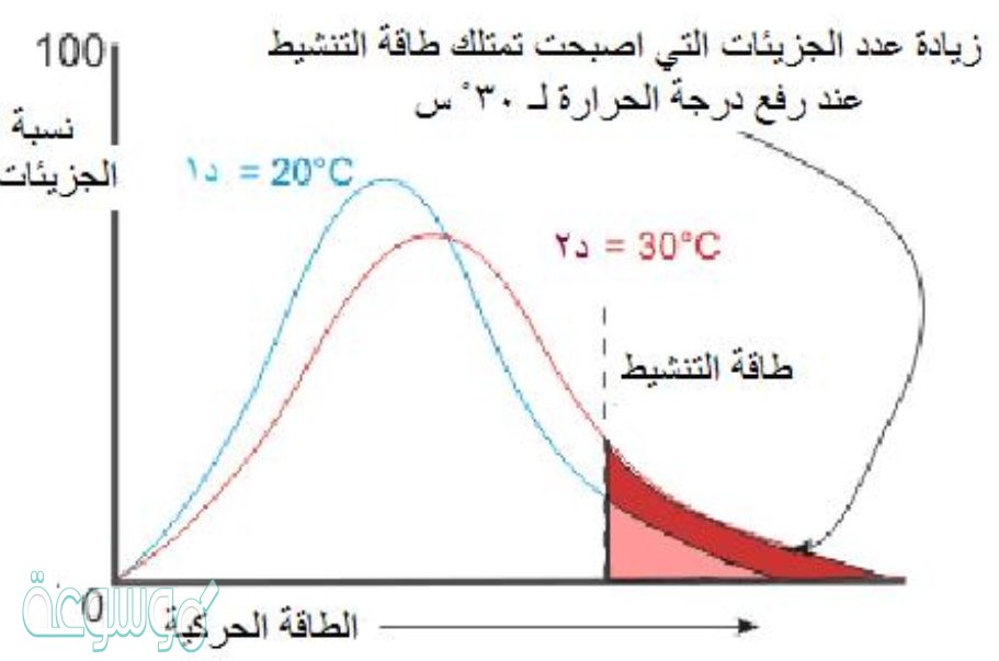 كيف يمكن لسطح المادّة المعرض للتفاعل أن يؤثر في سرعة التفاعل بين مادة وأخرى؟