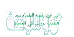 الى اين يتجة الطعام بعد هضمة جزئيا في المعدة
