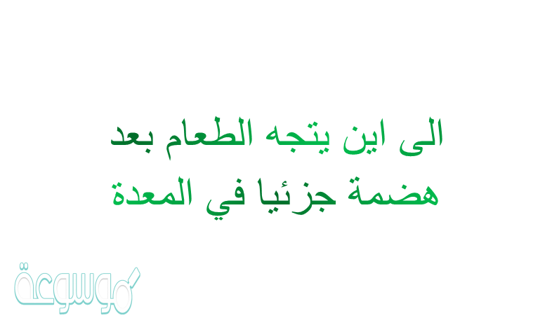 الى اين يتجة الطعام بعد هضمة جزئيا في المعدة
