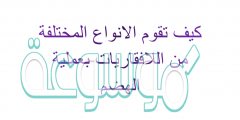 كيف تقوم الانواع المختلفة من اللافقاريات بعملية الهضم