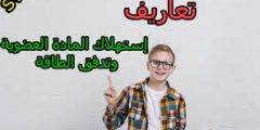 استهلاك المادة العضوية وتدفق الطاقة