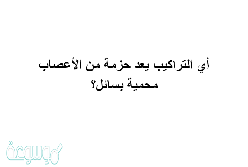 أي التراكيب يعد حزمة من الأعصاب محمية بسائل