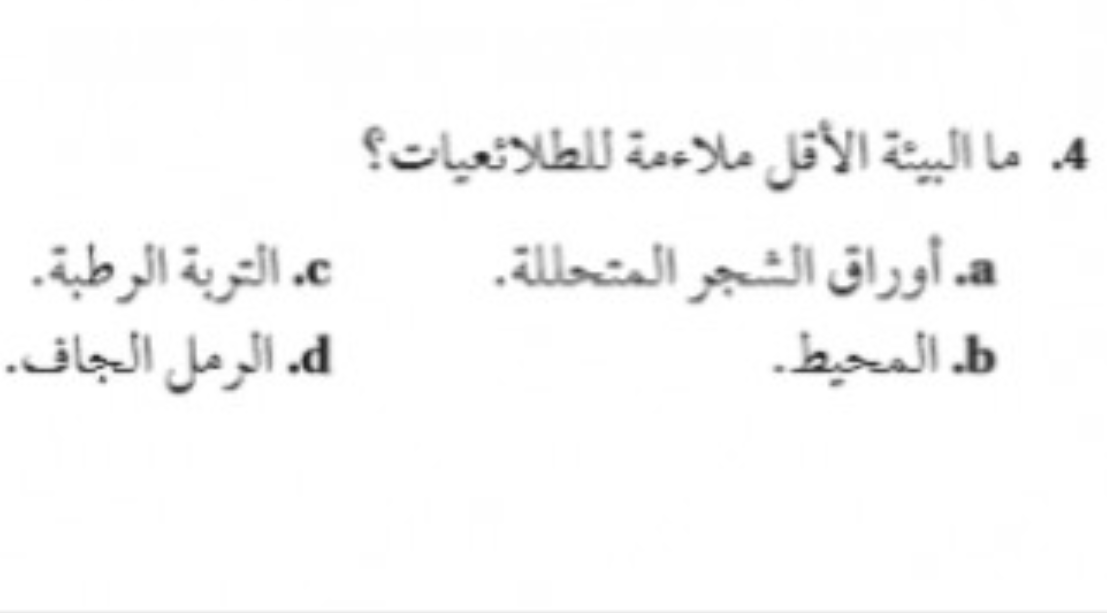 البيئة الاقل ملائمة للطلائعيات