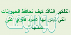 التفكير الناقد كيف تحافظ الحيوانات التي ليس لها عمود فقري على شكلها ؟