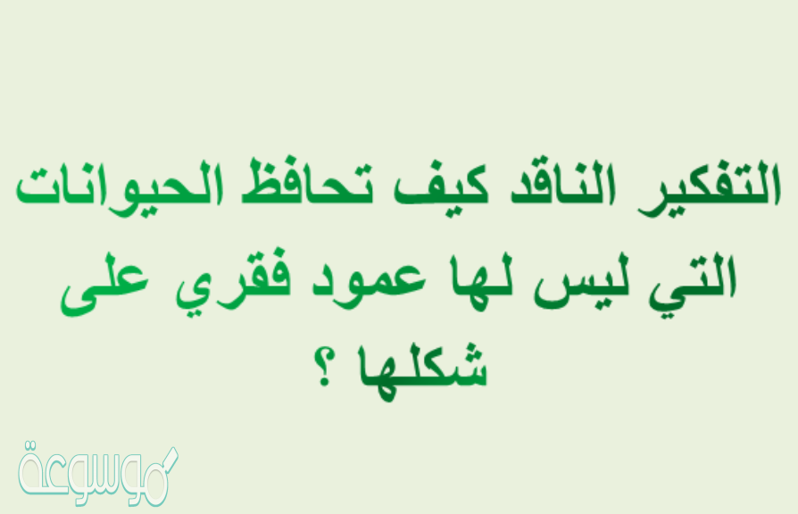 التفكير الناقد كيف تحافظ الحيوانات التي ليس لها عمود فقري على شكلها ؟