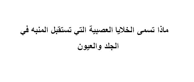 ماذا تسمى الخلايا العصبية التي تستقبل المنبه في الجلد والعيون