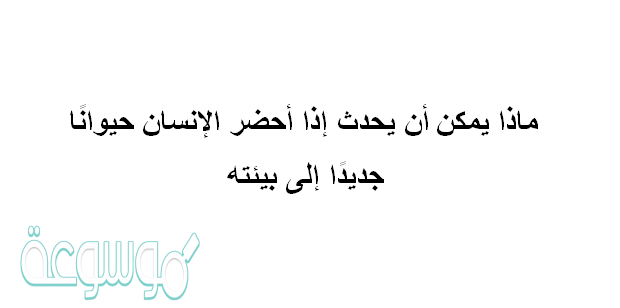 ماذا يمكن أن يحدث إذا أحضر الإنسان حيوانًا جديدًا إلى بيئته