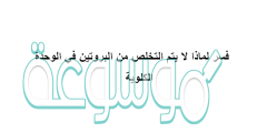 فسر لماذا لا يتم التخلص من البروتين في الوحدة الكلوية