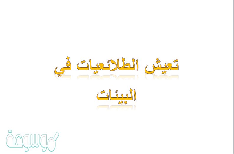 تعيش الطلائعيات في البيئات